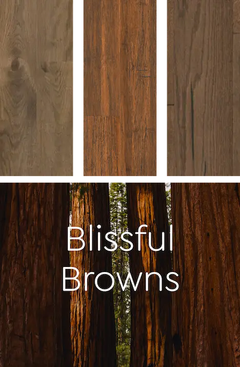 Blissful Browns