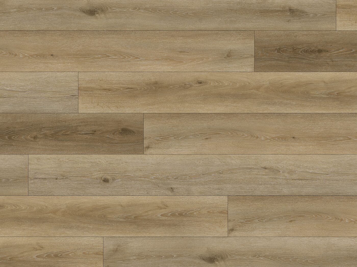 Belmont plank